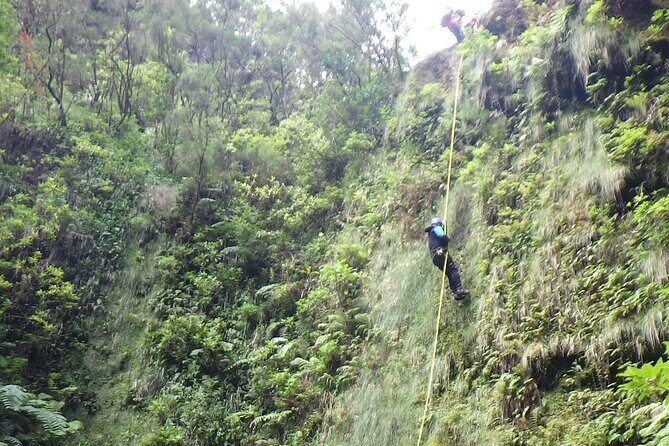 Madeira East Island Special & Levada Walking Tour with Meal and Drinks - FAQ