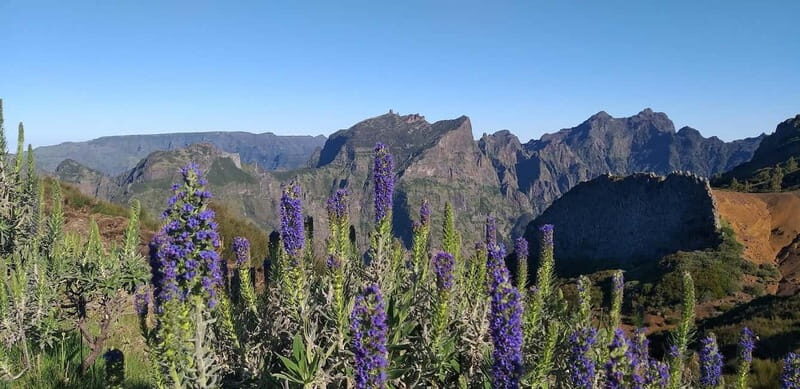 Madeira East Island Tour and Levada Walk - A Detailed Look at the Madeira East Island Tour and Levada Walk