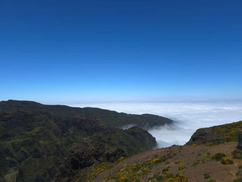 Madeira: East Island Tour with Rum Tasting - A Deep Dive into the East Madeira Tour Experience