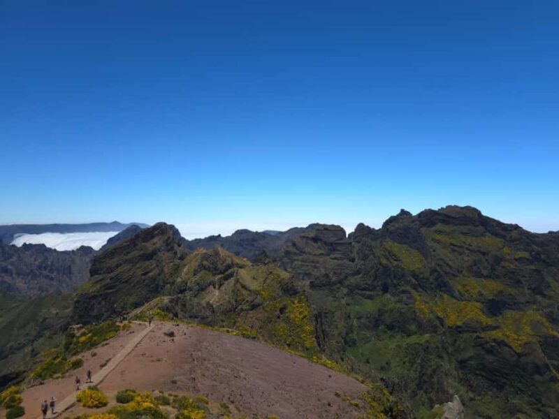 Madeira: East Island Tour with Rum Tasting - Summing Up: Who Will Love This Tour?