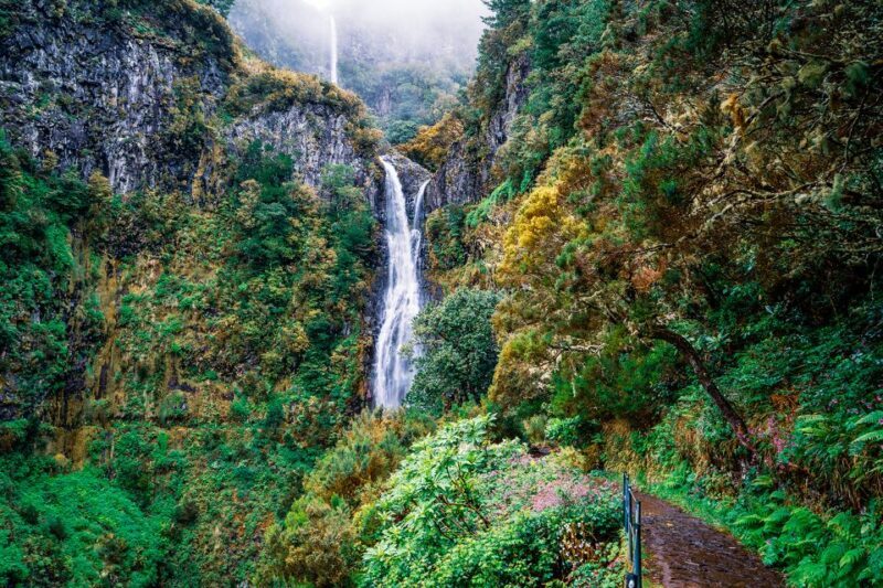 Madeira: Enjoy a Guided Levada Walk in the Rabaçal Valley - Madeira: Enjoy a Guided Levada Walk in the Rabaçal Valley