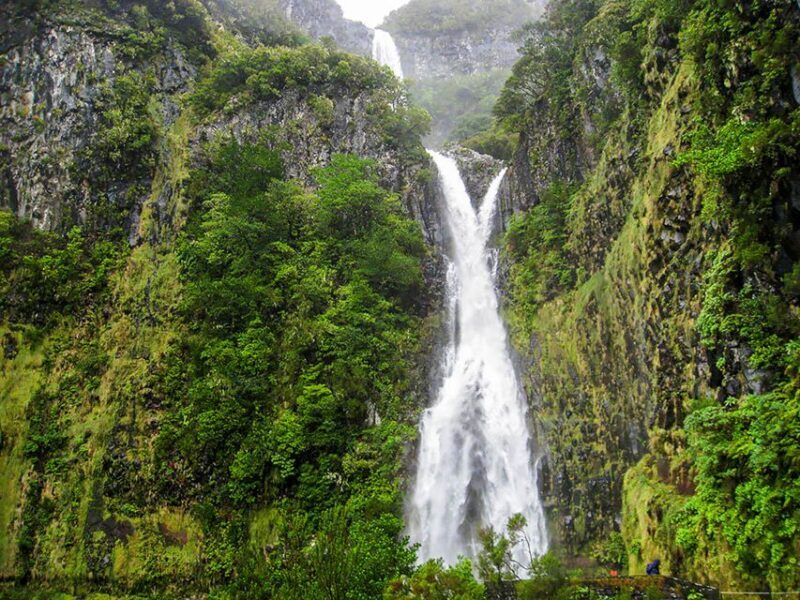 Madeira: Enjoy a Guided Levada Walk in the Rabaçal Valley - Why This Tour Offers Excellent Value