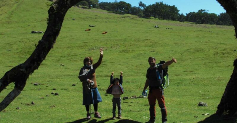 Madeira: Fanal Forest Guided Hiking Tour - An In-Depth Look at the Madeira: Fanal Forest Guided Hiking Tour