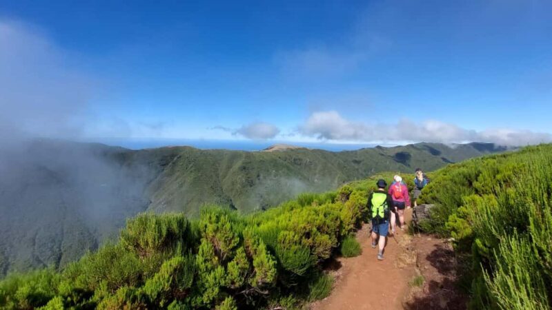 Madeira: Fanal Forest Walk & Meal - Exploring Madeira’s Fanal Forest & Its Unique Charm