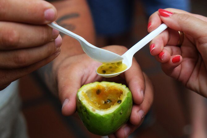 Madeira Food, Wine & Cultural Tour - An In-Depth Look at the Madeira Food, Wine & Cultural Tour