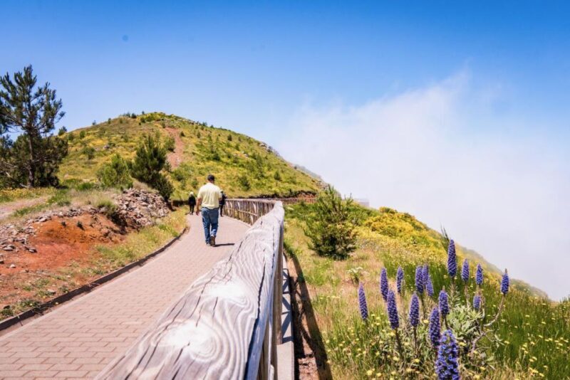Madeira : Full Day Adult only East 4x4 Tour - The Details That Matter