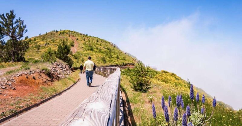 Madeira : Full Day Adult only East 4x4 Tour - Who Would Love This Tour?