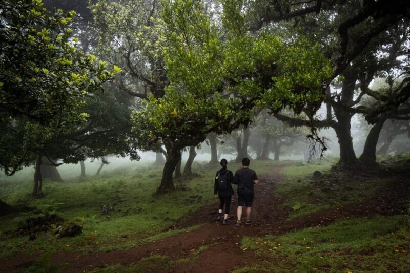 Madeira : Full Day Adult-only west 4x4 Tour - FAQ