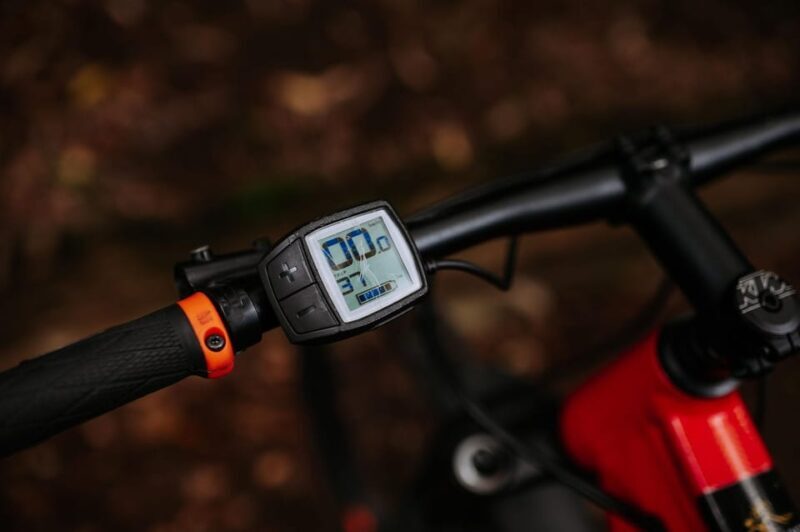 Madeira: Full Day E-Bike Rental - What’s Included and What’s Not