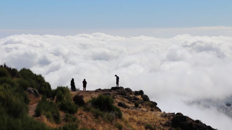 Madeira: Full Day Private Jeep Tour East or West - Authentic Experiences and Practical Details