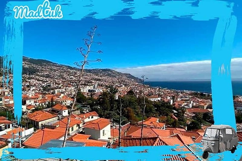 Madeira: Funchal City Historical Tuk Tour Guided by MadTuk - Final Thoughts: Is This Tour for You?