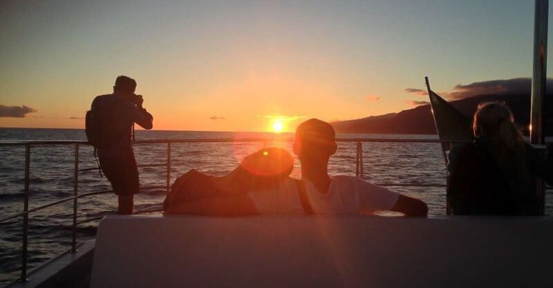 Madeira: Funchal Sunset Tour by Catamaran - Exploring the Details: What to Expect on the Funchal Sunset Catamaran Tour