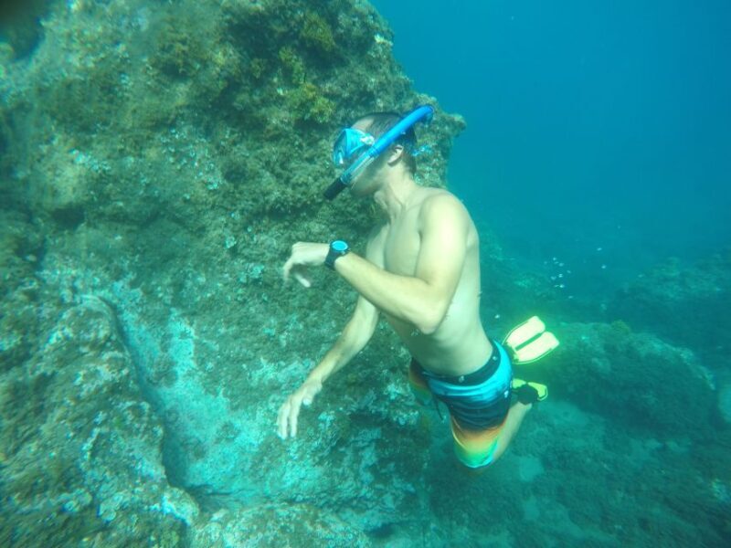 Madeira: Garajau Nature Reserve Kayak and Snorkel Tour - The Cliff Jumping and Snorkelling Highlights