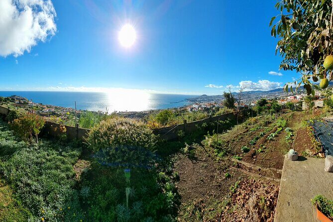 Madeira Genuíne Food Experience at Re-Canto - Practical Details and Considerations