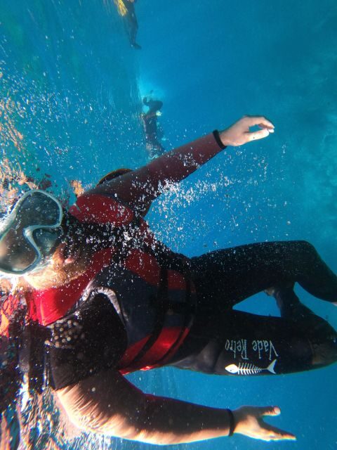 Madeira: Half-Day Coasteering Tour - Price and What You’re Getting