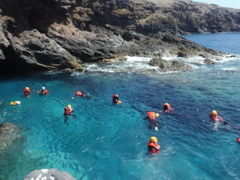Madeira: Half-Day Coasteering Tour - Who Will Love This Tour?