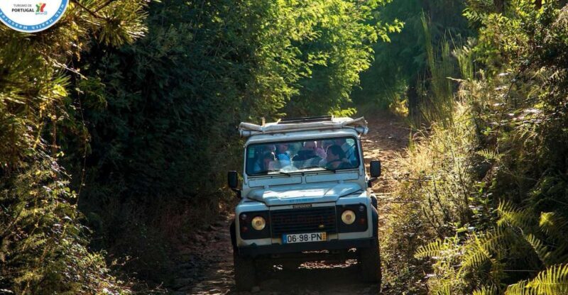 Madeira: Half-Day Nun's Valley and Sea Cliff Tour - An In-Depth Look at the Nun’s Valley and Sea Cliff Tour