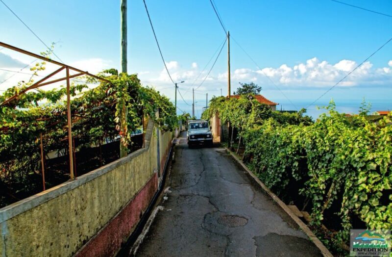 Madeira: Half-Day Nun's Valley and Sea Cliff Tour - Frequently Asked Questions