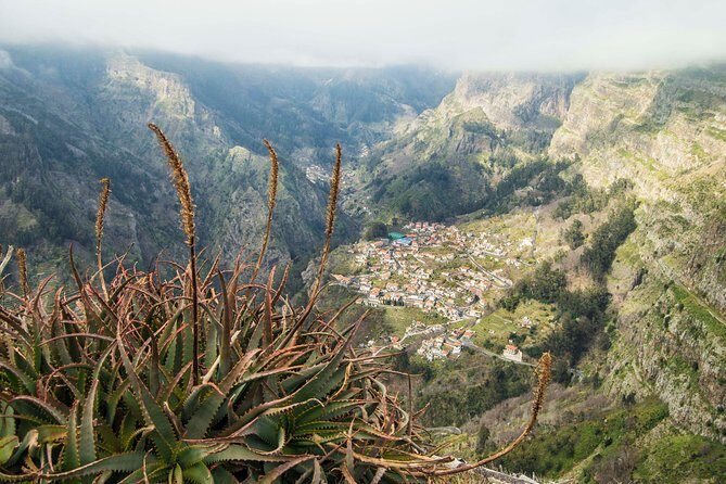 Madeira Half Day Small-Group Tour from Funchal - Who Will Love This Tour?