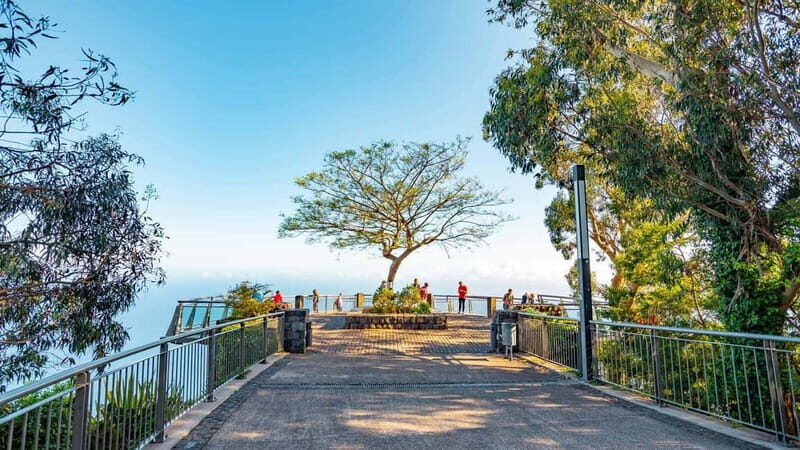 Madeira: Highest Cliff in Europe & Visit to a Winery - A Personal Touch: Guided Wine and Fruit Tour