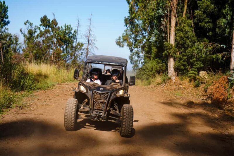 Madeira Island: Buggy FunTrip - Guided CAN-AM OFF-ROAD Buggy Adventure - Key Points