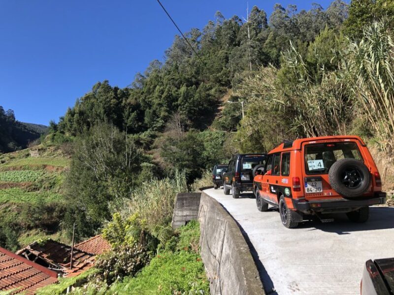Madeira Island: Full-Day Guided Tour of Eastern Madeira - Key Points