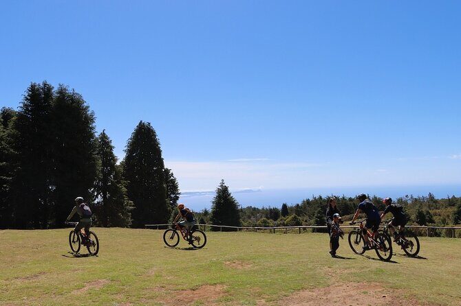 Madeira Island Guided Mountain Biking Adventure - Key Points