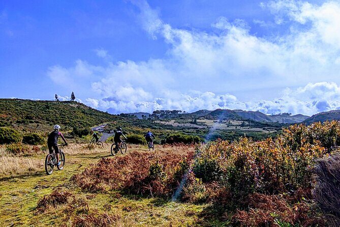 Madeira Island Guided Mountain Biking Adventure - Who Will Love This Tour?