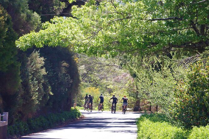 Madeira Island Guided Mountain Biking Adventure - Frequently Asked Questions