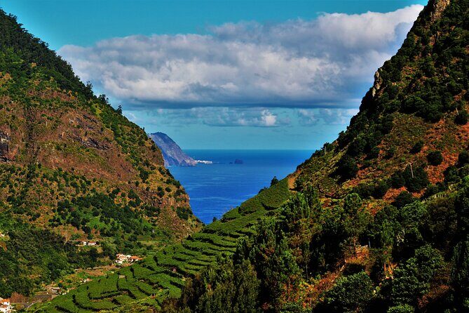 Madeira Island Private Wine Full-day Tour in all terrain vehicle - The Itinerary: A Day Packed with Highlights