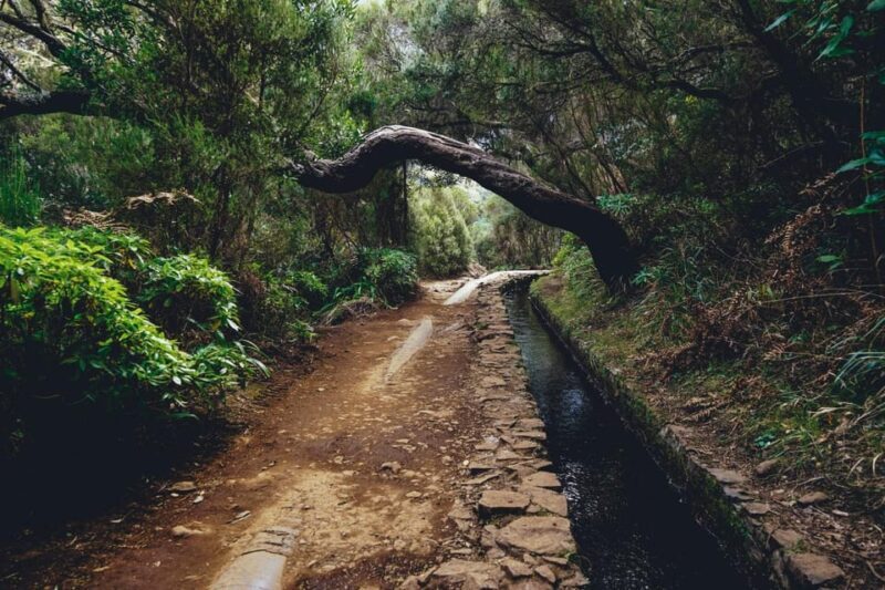 MADEIRA ISLAND WALK - 25 FOUNTAINS LEVADA - Madeira Island Walk - 25 Fountains Levada: An Authentic Taste of Nature
