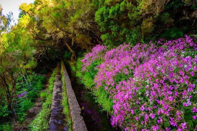 MADEIRA ISLAND WALK - 25 FOUNTAINS LEVADA - FAQ