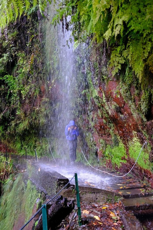 MADEIRA ISLAND WALK - HIDDEN CORNERS KINGS LEVADA - What’s Included and What’s Not
