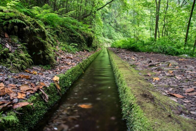 MADEIRA ISLAND WALK - HIDDEN CORNERS KINGS LEVADA - FAQs