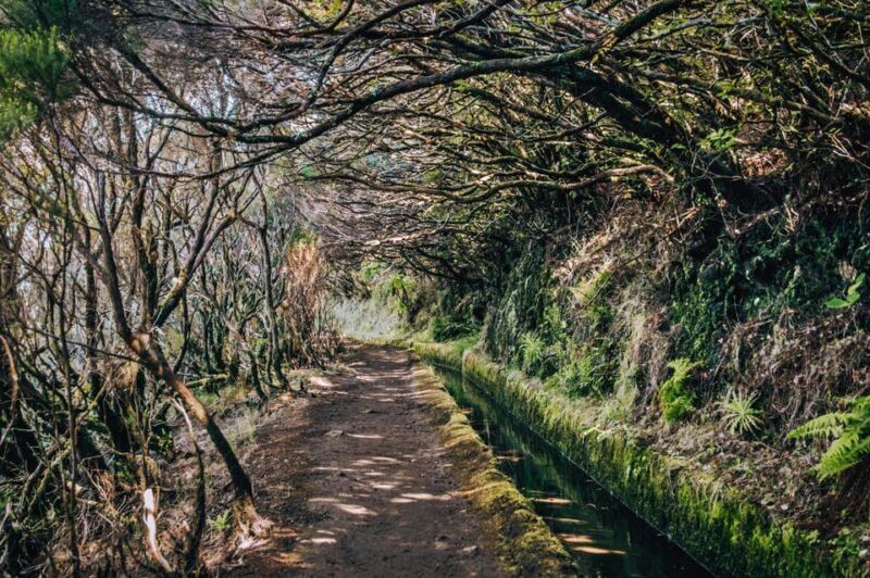 MADEIRA ISLAND WALK - LAKES OF MADEIRA , LEVADA DO ALECRIM - Final Thoughts