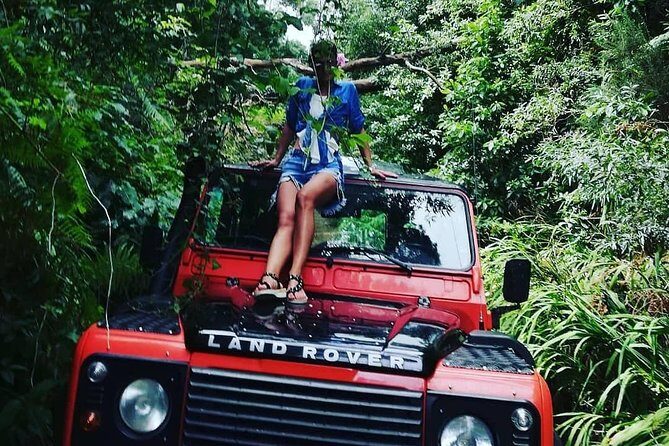 Madeira Jeep 4x4: Old Forest Full-Day Tour incl Pico Arieiro - An In-Depth Look at the Madeira Jeep 4x4: Old Forest Full-Day Tour