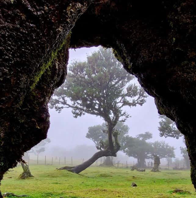 Madeira Jeep Safari Tour with Fanal Forest and Natural Pools - In Closing