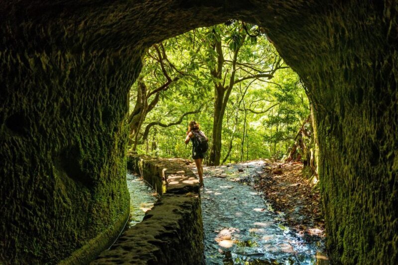 Madeira: Jungle Fever Levada Caldeirao Verde Hike Santana - Price, Value, and Practical Tips
