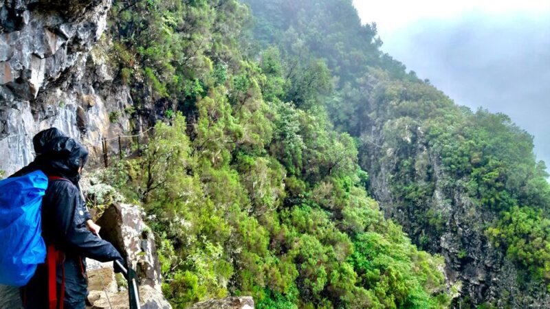 Madeira: Jungle Fever Levada Caldeirao Verde Hike Santana - The Sum Up