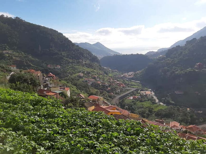 Madeira: Levada dos Maroços Hike - Madeira: Levada dos Maroços Hike — A Genuine Taste of the Island’s Nature and Culture