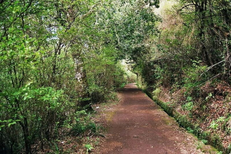 Madeira: Levada Paradise Valley Scenic Walk - Madeira: Levada Paradise Valley Scenic Walk — A Nature and Culture Combo at $46