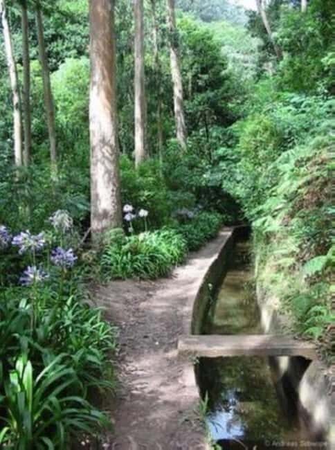 Madeira: Levada Paradise Valley Scenic Walk - The Sum Up
