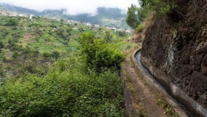 Madeira: Levada Referta  Castelejo Guided Walk - Scenic Views and Photo Opportunities