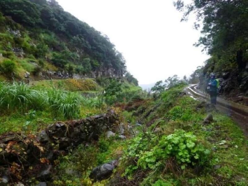 Madeira: Levada Referta  Castelejo Guided Walk - Cultural and Heritage Insights