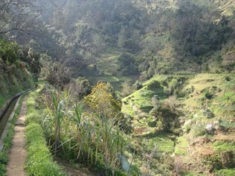 Madeira: Levada Referta  Castelejo Guided Walk - Who Will Love This Tour?