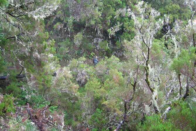 Madeira Levada Walk - Rabacal Lakes and Fountains - The Experience in Detail