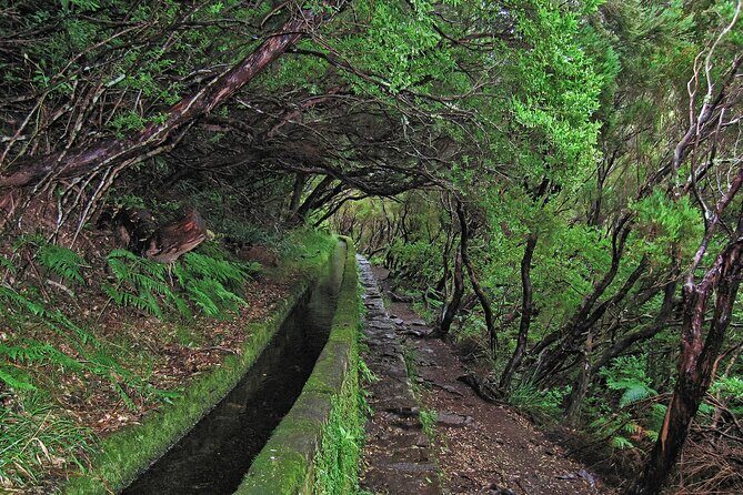 Madeira Levada Walk - Rabacal Lakes and Fountains - FAQ