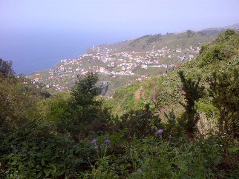 Madeira: Levado do Norte 2-Hour Hiking Tour - FAQ