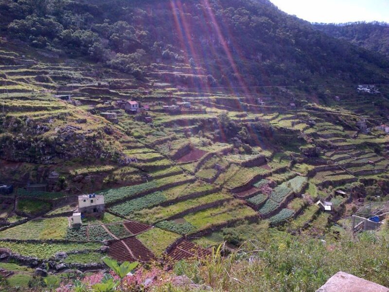 Madeira: Maroços Landscapes 2.5-Hour Guided Walk - Madeira: Maroços Landscapes 2.5-Hour Guided Walk — A Balanced Look