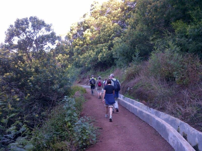 Madeira: Maroços Landscapes 2.5-Hour Guided Walk - Key Points